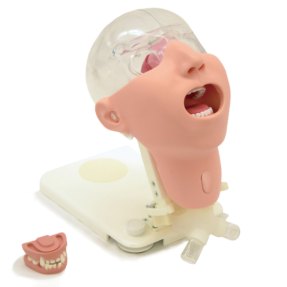 Oral Care Simulator Advanced - Kyoto Kagaku